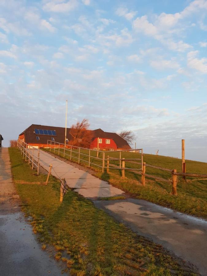 Hare Ferienwohnungen Langeneß Exteriér fotografie
